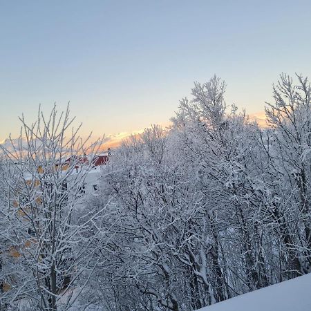 36 Sqm Studio Aparatment B Tromso Luaran gambar