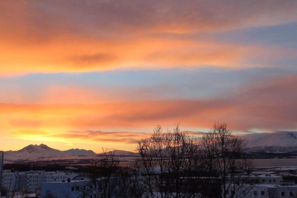 36 Sqm Studio Aparatment B Tromso Luaran gambar